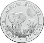 Laden Sie das Bild in den Galerie-Viewer, Somalia African Wildlife Elephant 1oz (diff.-best.)

