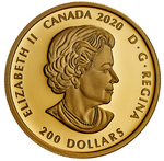 Laden Sie das Bild in den Galerie-Viewer, Royal Canadian Mint 2020 Pure Gold Coin Xhuwaji, Haida Grizzly Bear
