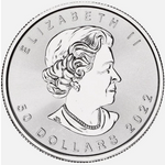 Laden Sie das Bild in den Galerie-Viewer, 50 Dollars 2018 Elizabeth II Maple Leaf Canada 1 oz Platin
