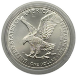 Laden Sie das Bild in den Galerie-Viewer, American Silver Eagle 2021 – Type 2 – 1 oz Silber 999
