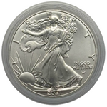 Laden Sie das Bild in den Galerie-Viewer, American Silver Eagle 2021 – Type 2 – 1 oz Silber 999 – teilvergoldet
