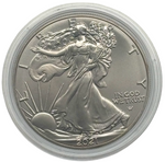 Laden Sie das Bild in den Galerie-Viewer, American Silver Eagle 2021 – Type 2 – 1 oz Silber 999 – Gold auf Schwarz veredelt
