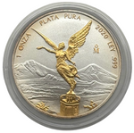Laden Sie das Bild in den Galerie-Viewer, Mexiko Libertad 2020 – 1 oz Silber 999 – teilvergoldet
