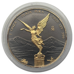 Laden Sie das Bild in den Galerie-Viewer, Mexiko Libertad 2020 – 1 oz Silbermünze .999, vergoldet – Plata Pura
