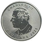 Laden Sie das Bild in den Galerie-Viewer, 2025 Kanada 5 Dollars Maple Leaf 1 oz Silber
